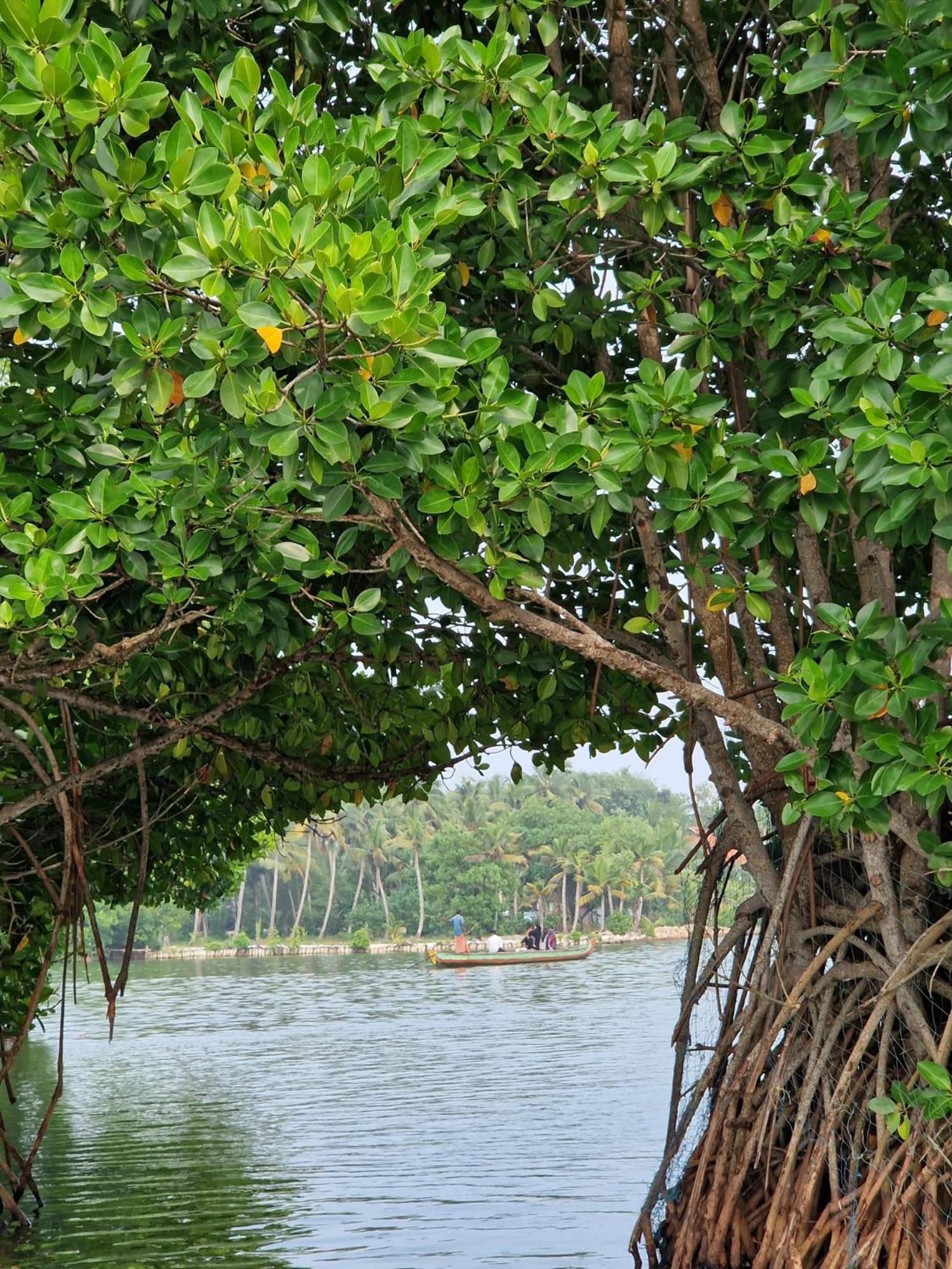 Bliss Homestay Munroe Island Mundrothuruth 외부 사진