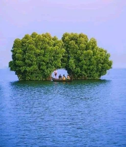 Bliss Homestay Munroe Island Mundrothuruth 외부 사진